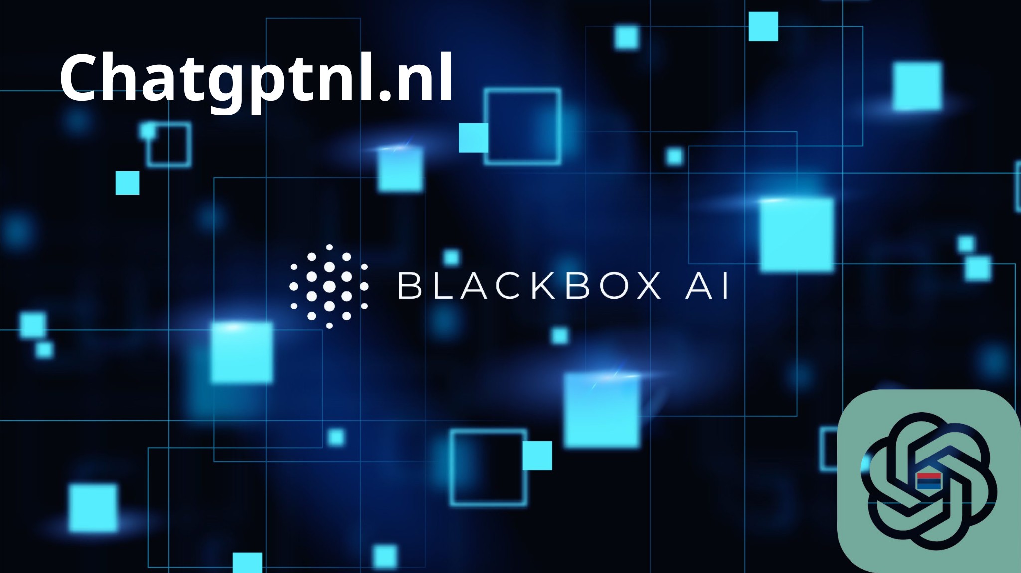 Waar wordt de kunstmatige intelligentie van Blackbox voor gebruikt?